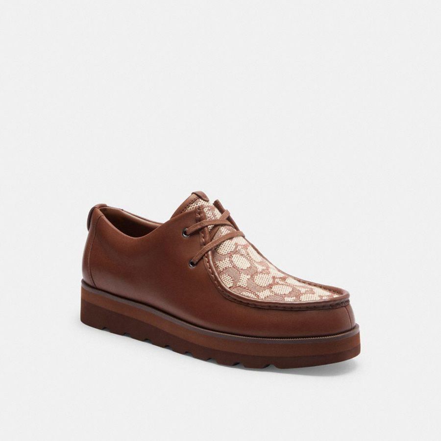 Botas COACH Hombre Marrones | 8569FJBYC