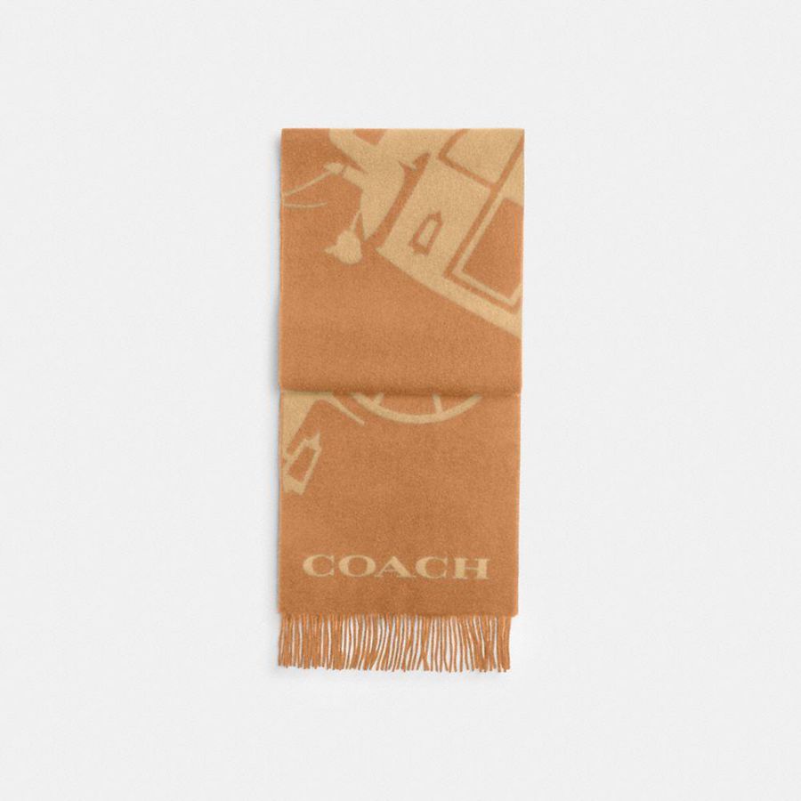 Bufanda COACH Hombre Marrones | 0645OVMIA