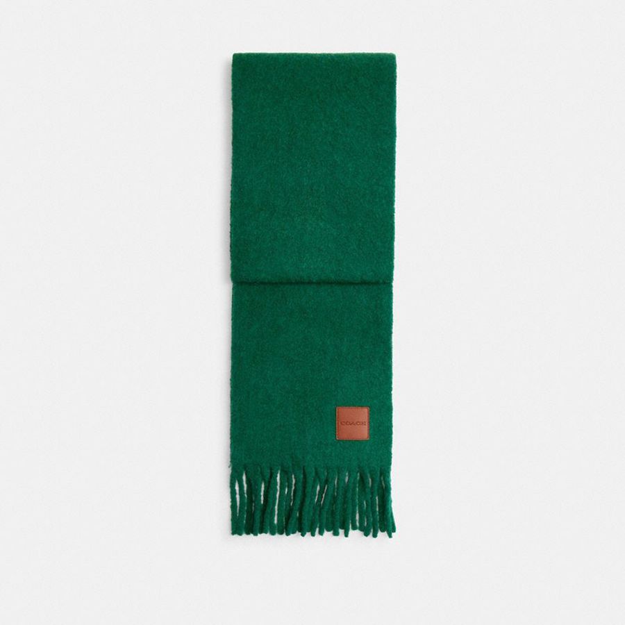 Bufanda COACH Hombre Verde | 0256LVRMI