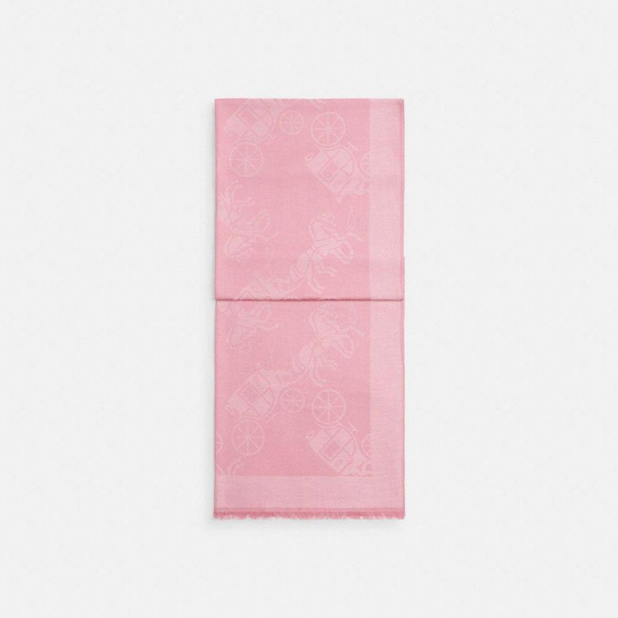 Bufanda COACH Mujer Rosas | 7451BMUKX