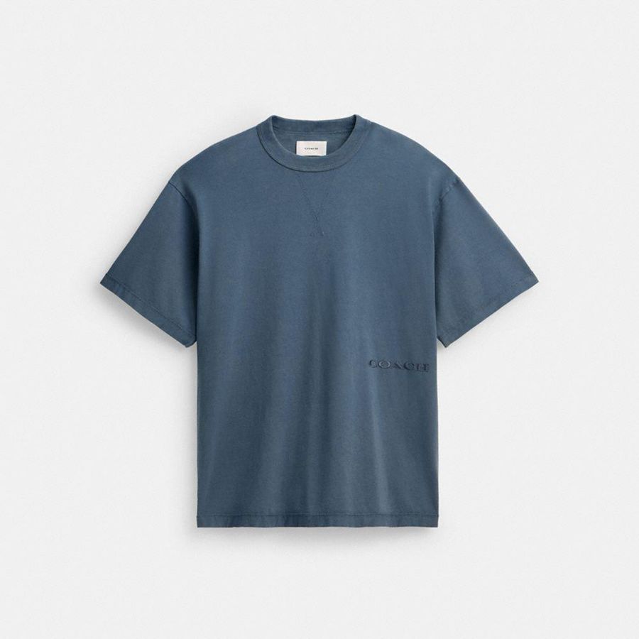 Camiseta COACH Hombre Azules | 7139GANQT
