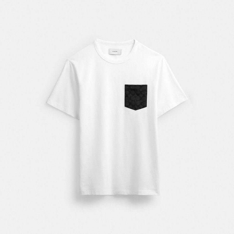 Camiseta COACH Hombre Blancas | 7296NDQTS
