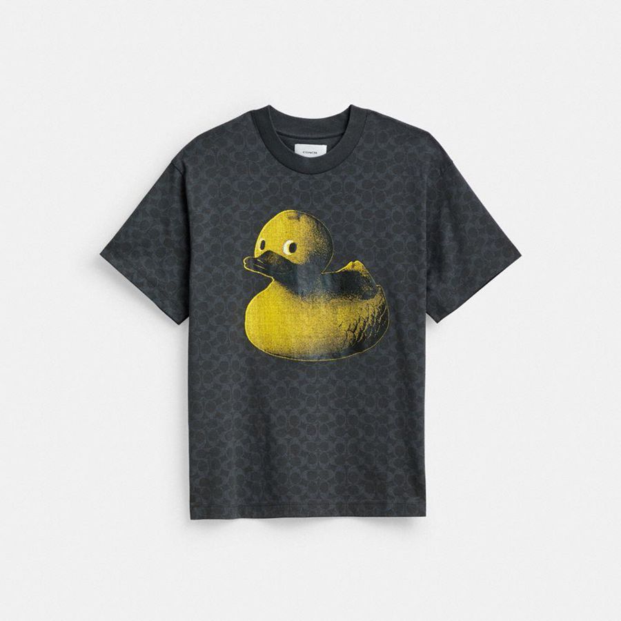 Camiseta COACH Hombre Gris | 3854REUFN