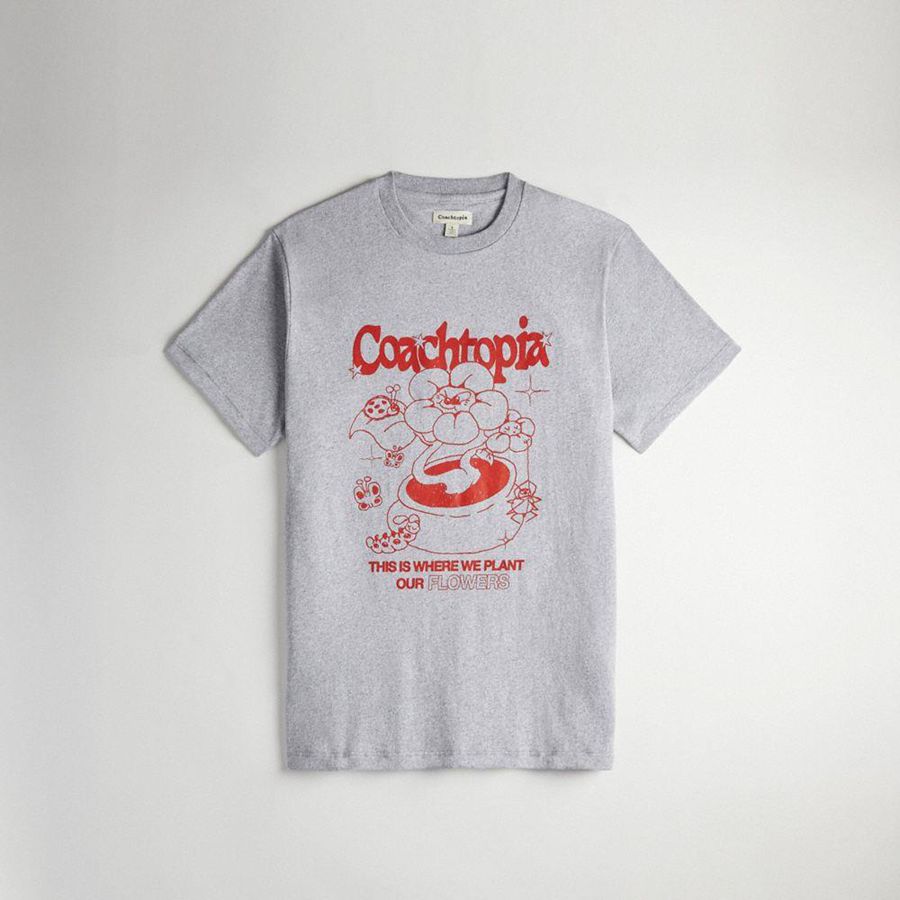 Camiseta COACH Hombre Gris | 7132YNXUM