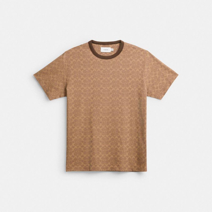 Camiseta COACH Mujer Marrones | 8162CYIRX