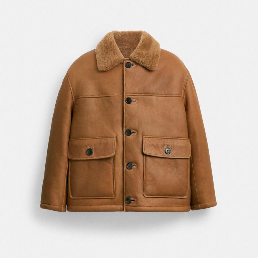 Campera COACH Hombre Marrones | 4680JFCOZ