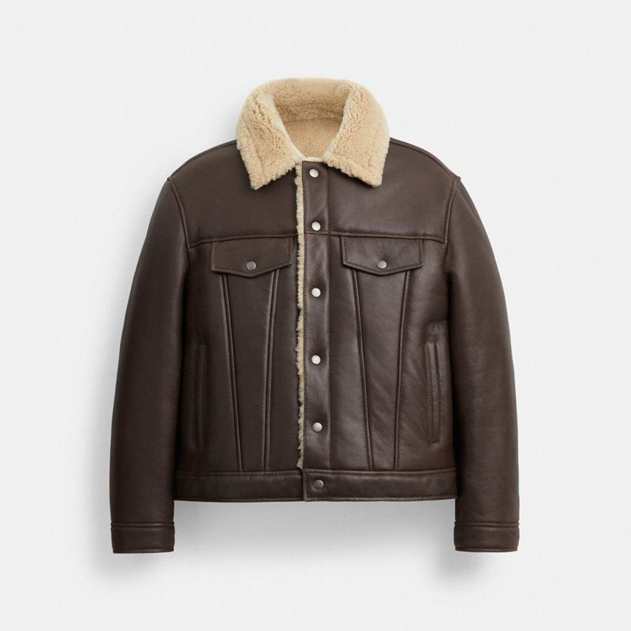 Campera COACH Hombre Marrones | 8379HDYLJ