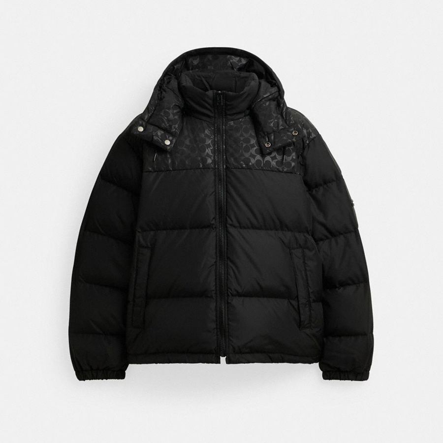 Campera COACH Hombre Negras | 0356ESTNU