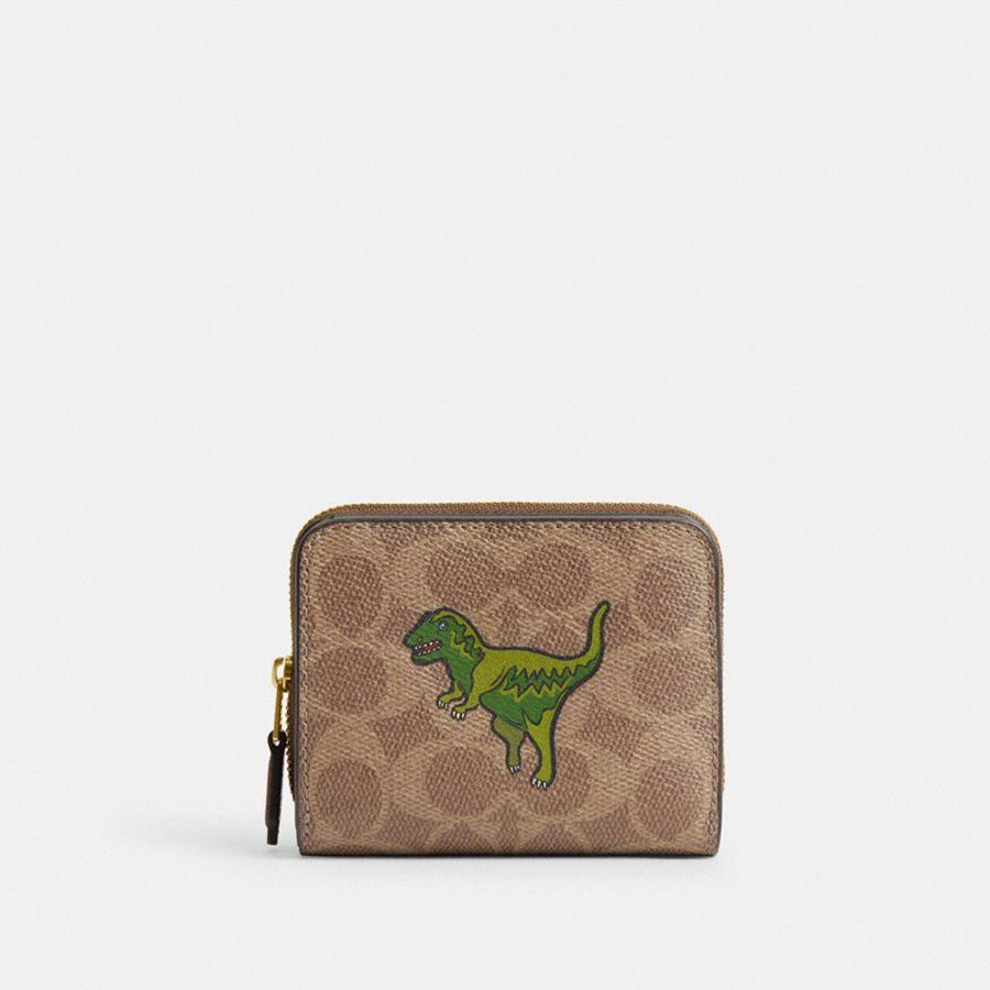 Cartera COACH Mujer Marrones | 1783FBCPT