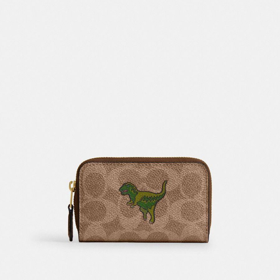 Cartera COACH Mujer Marrones | 5417KQJVN