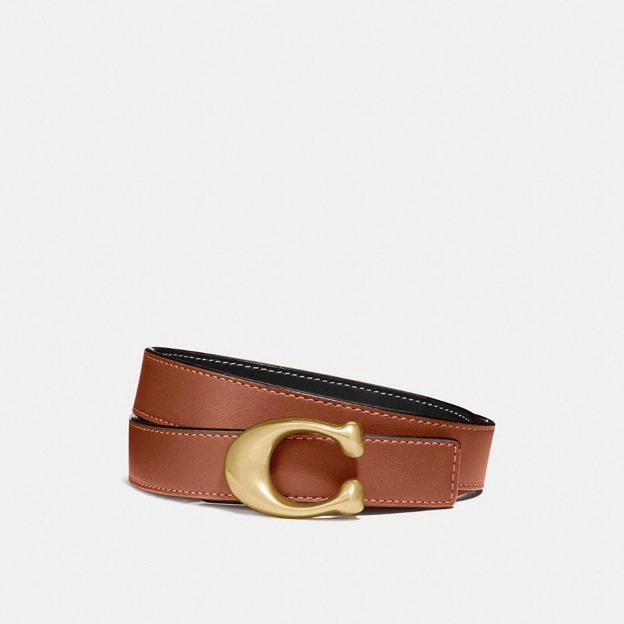Cinturones COACH Mujer Marrones | 0725TZBJD