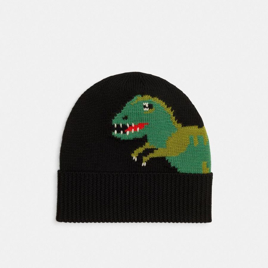 Gorro COACH Hombre Negras | 1973TNCEJ