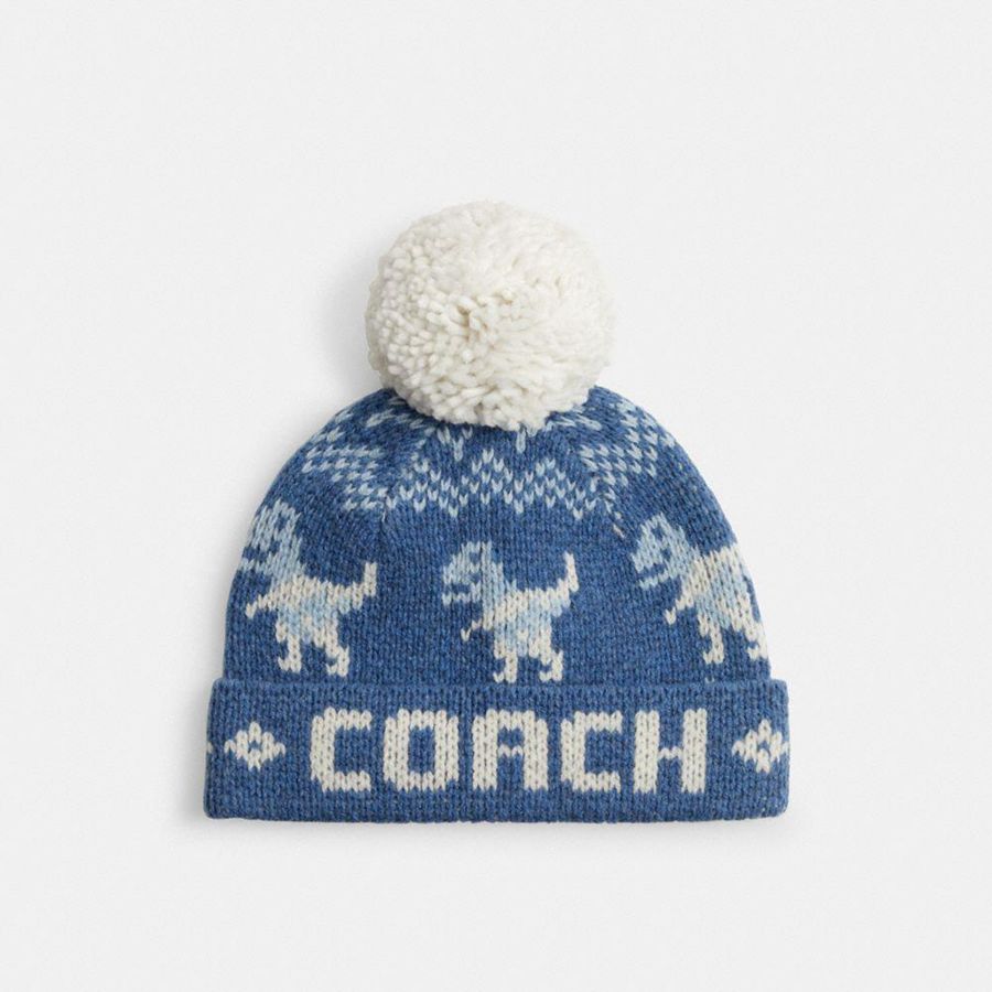 Gorro COACH Mujer Azules | 9217GDUQV