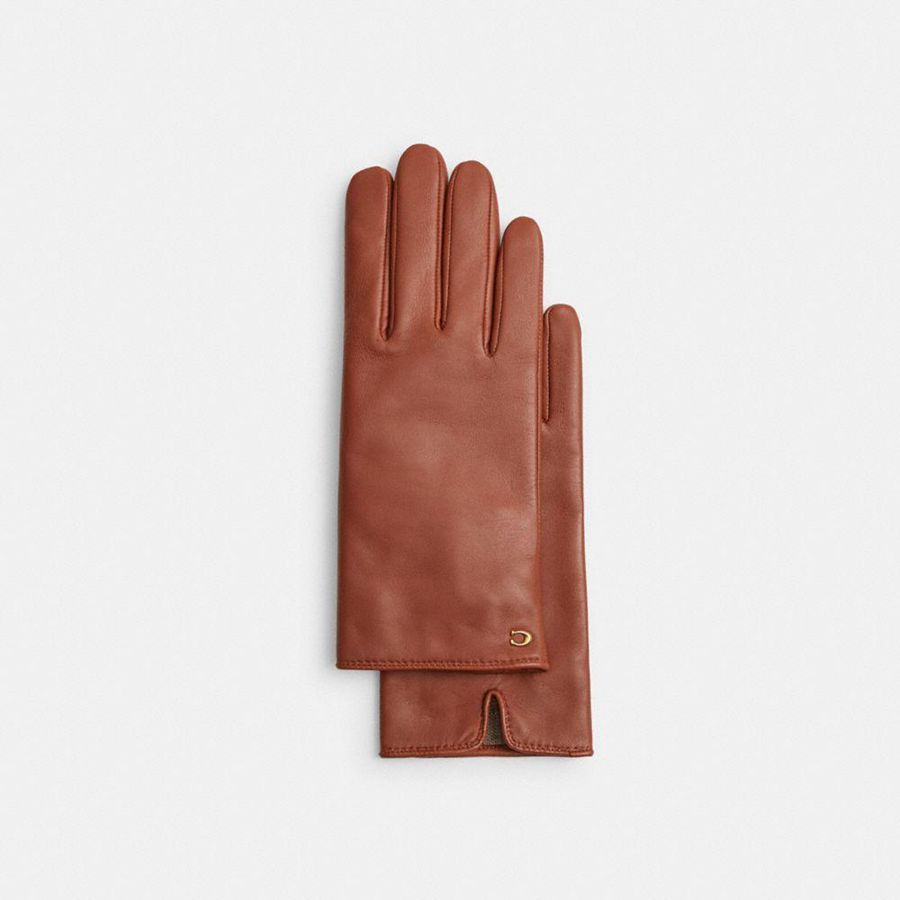 Guantes COACH Mujer Marrones | 7695DVNUA