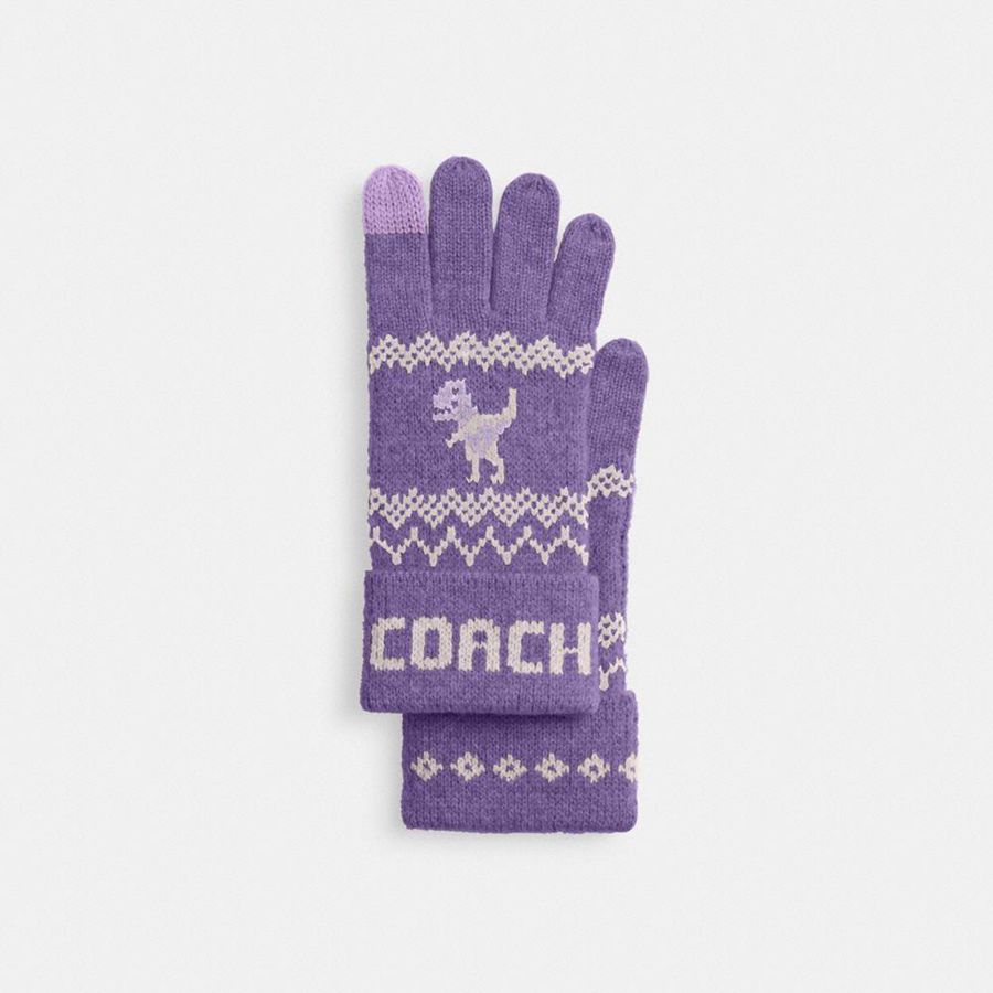 Guantes COACH Mujer Moradas | 9267KCWEI