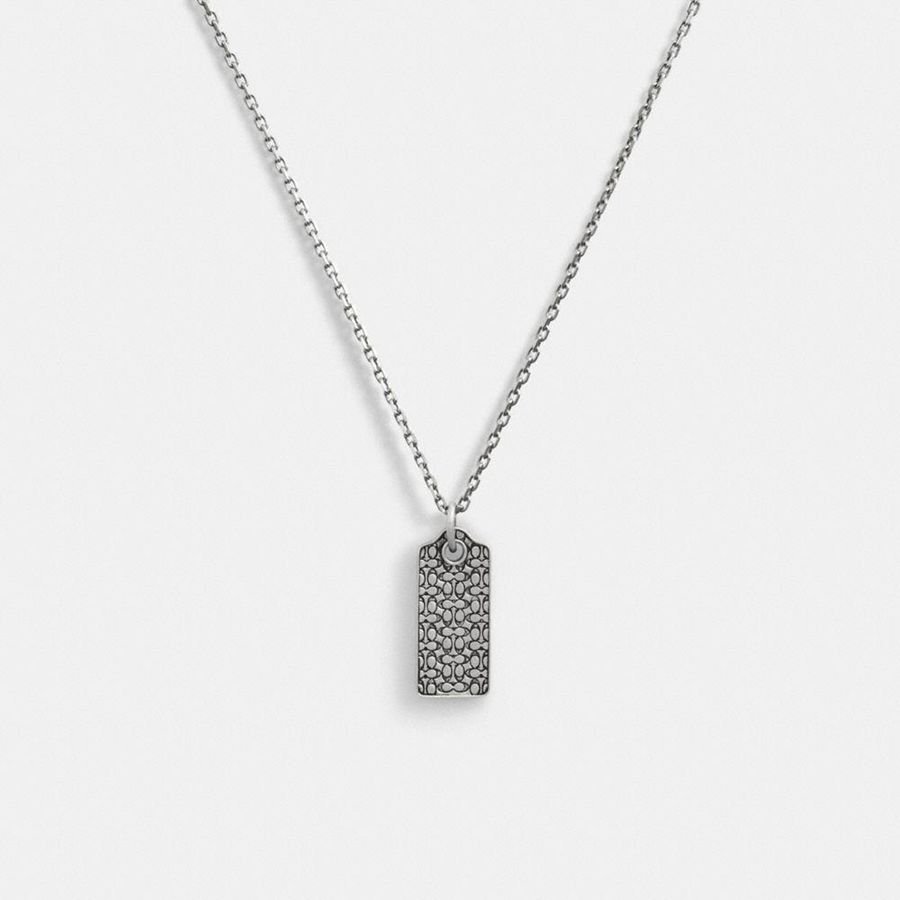Joyas COACH Hombre Plateadas | 9326DUGVR