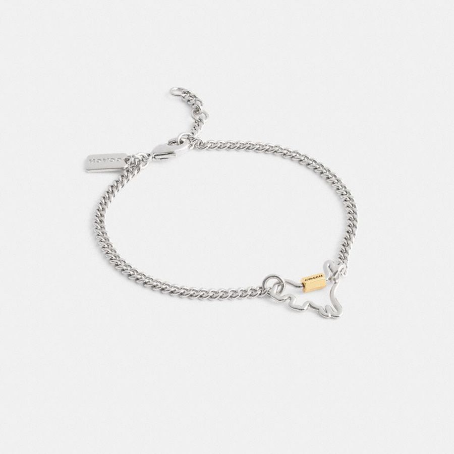 Joyas COACH Mujer Plateadas | 3869UJLEB