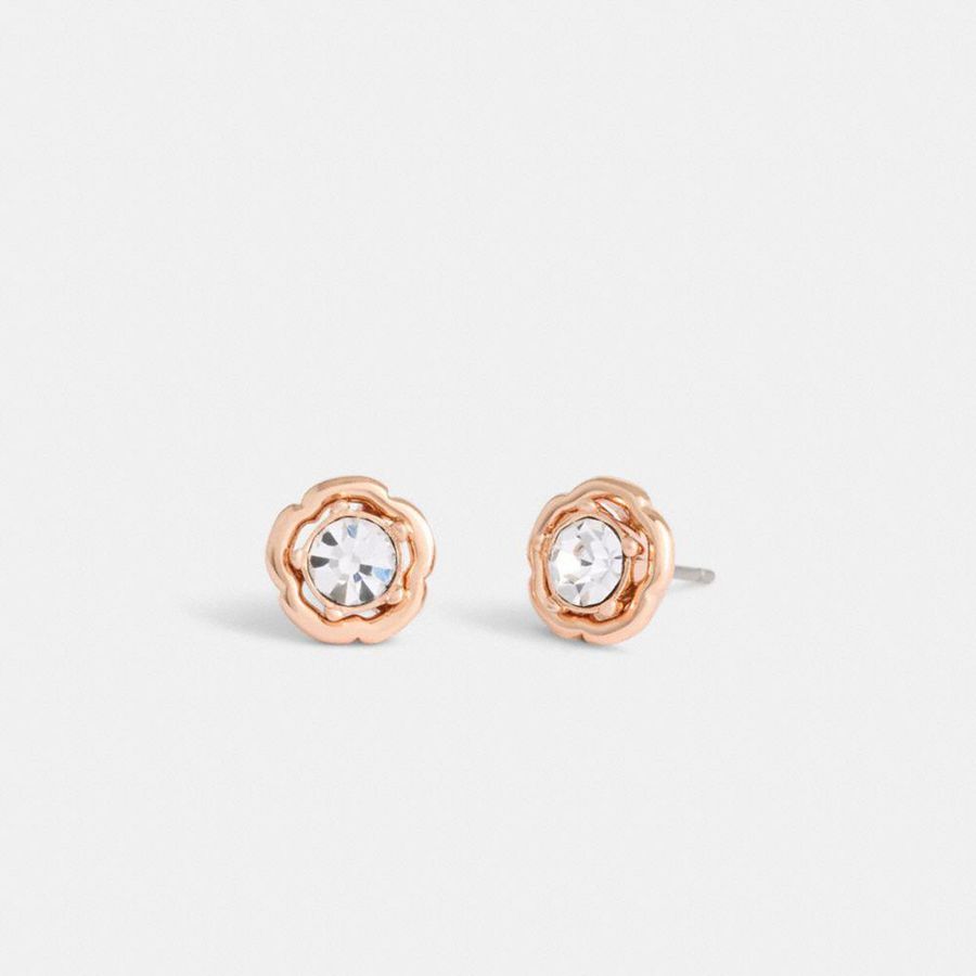 Joyas COACH Mujer Plateadas | 4580LJNIA