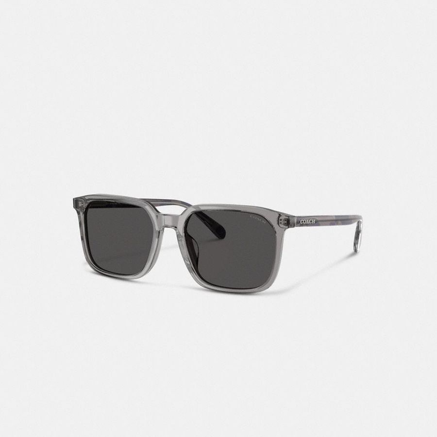 Lentes de Sol COACH Hombre Gris | 5496YPDMU