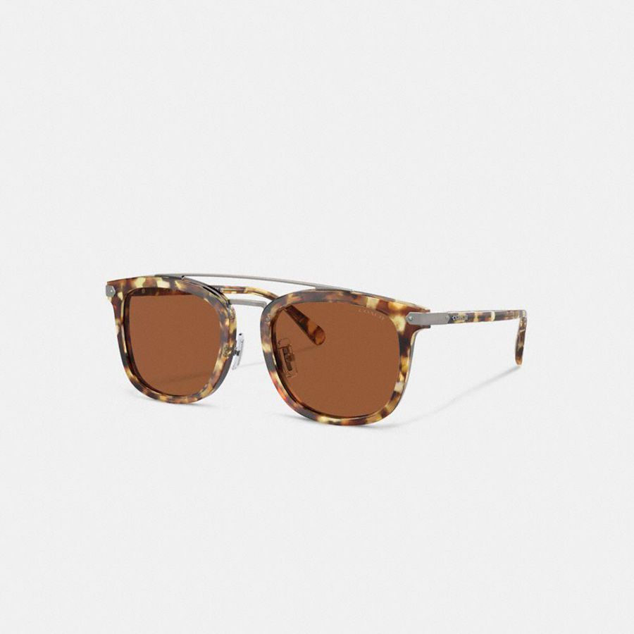 Lentes de Sol COACH Hombre Marrones | 0729QDKYG