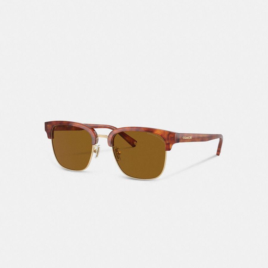 Lentes de Sol COACH Hombre Marrones | 1657CEZJF
