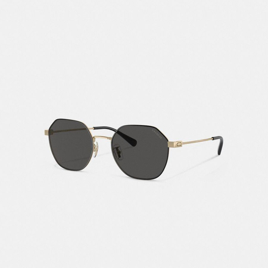 Lentes de Sol COACH Hombre Negras | 1468UTNKZ