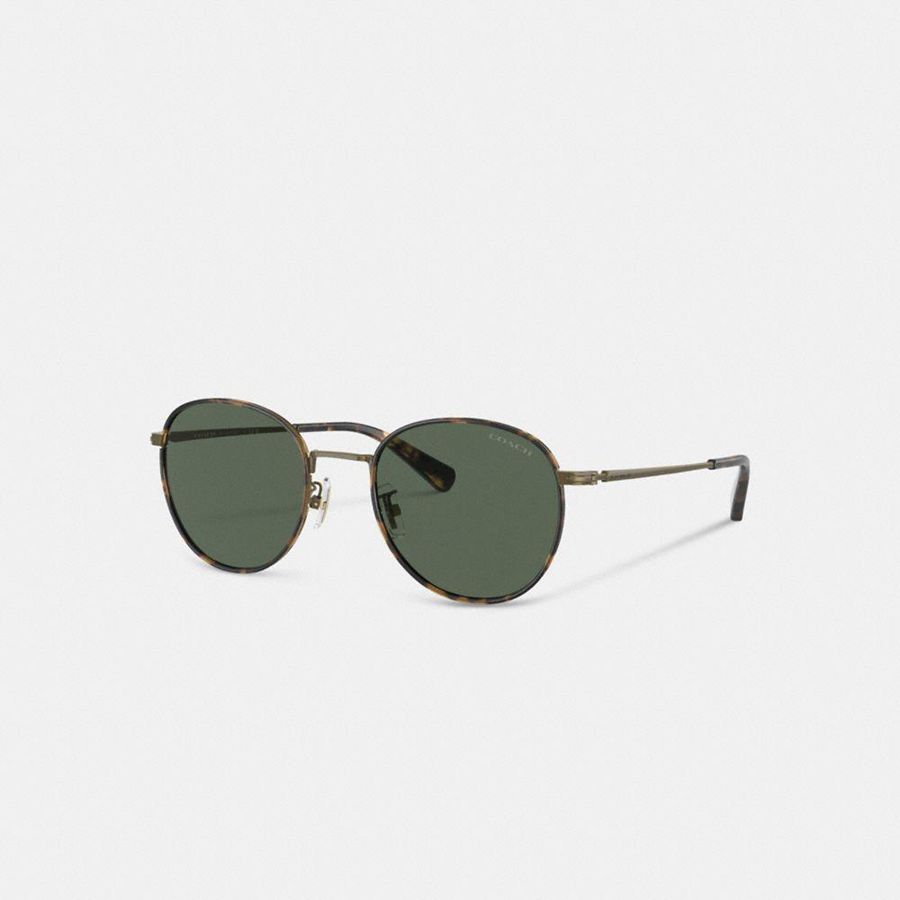 Lentes de Sol COACH Hombre Verde | 7150ZXNCM