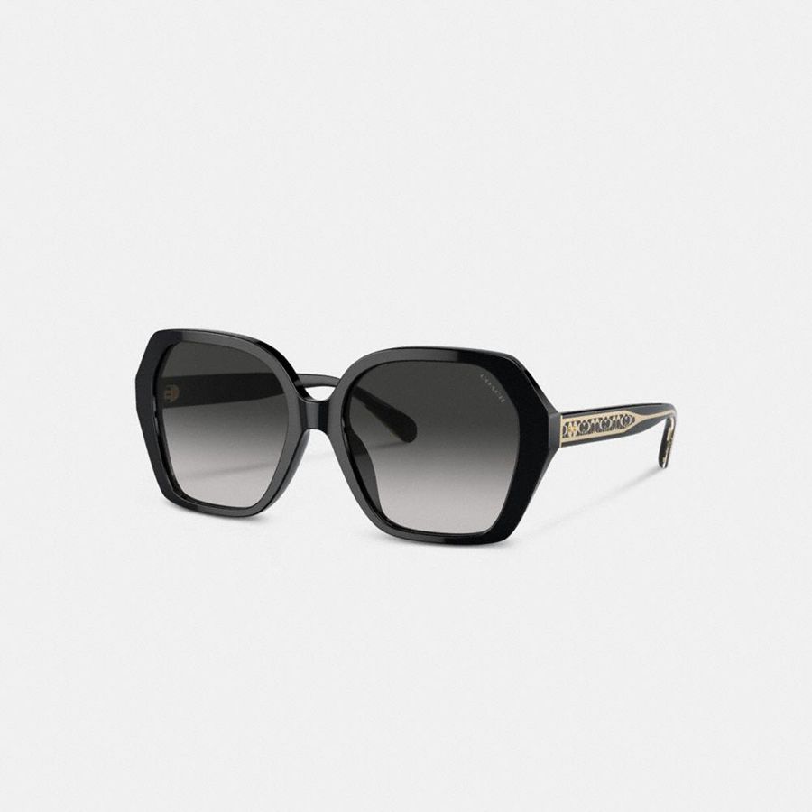 Lentes de Sol COACH Mujer Gris | 0581FYDBV