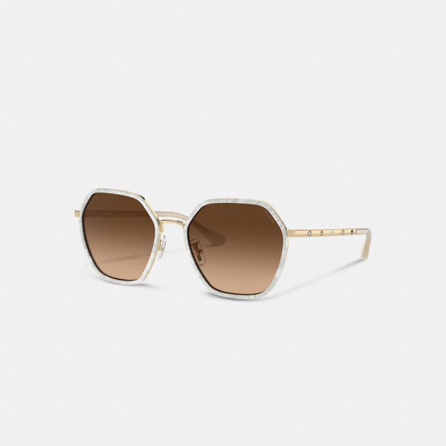 Lentes de Sol COACH Mujer Marrones | 0495BMUZK