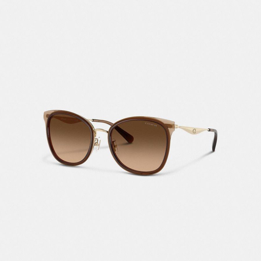 Lentes de Sol COACH Mujer Marrones | 0578ROYEG