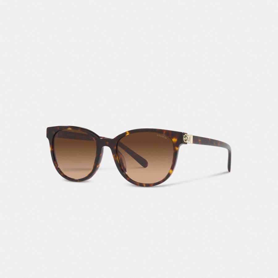 Lentes de Sol COACH Mujer Marrones | 4932LHGTC