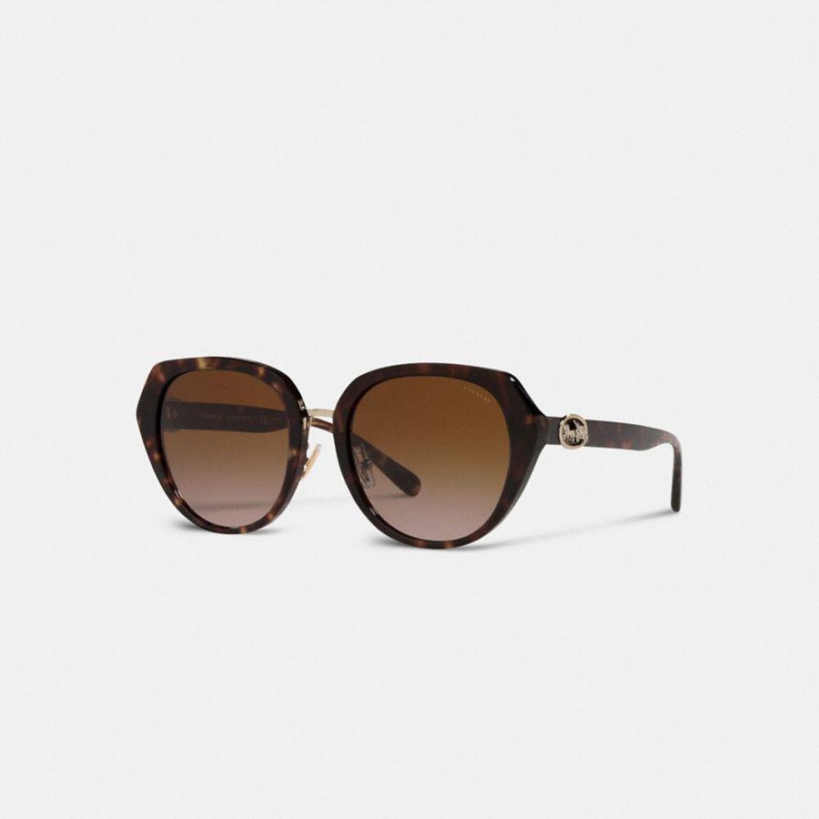 Lentes de Sol COACH Mujer Marrones | 7230KFIDL