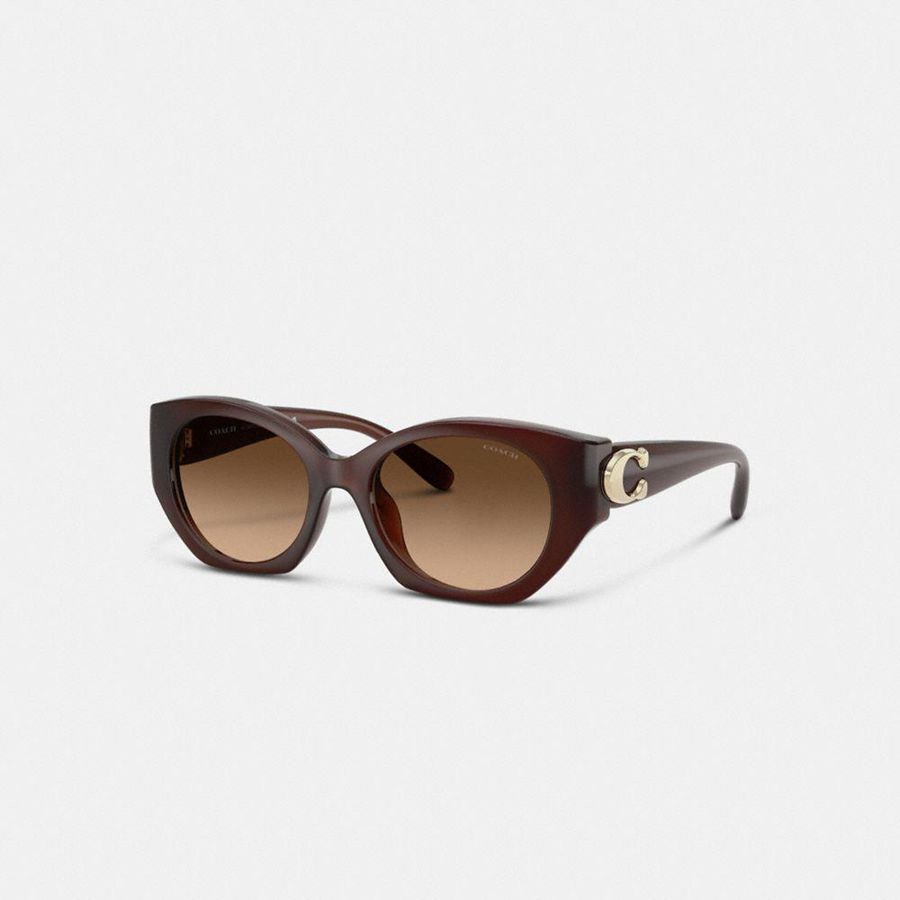 Lentes de Sol COACH Mujer Marrones | 9608LVHKY