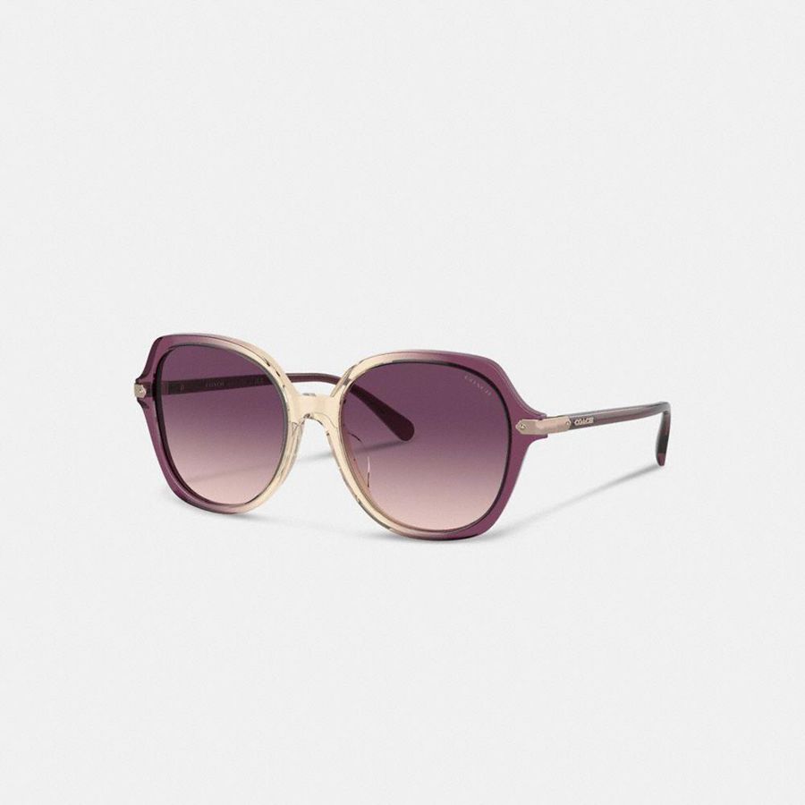 Lentes de Sol COACH Mujer Moradas | 4568UBDIY