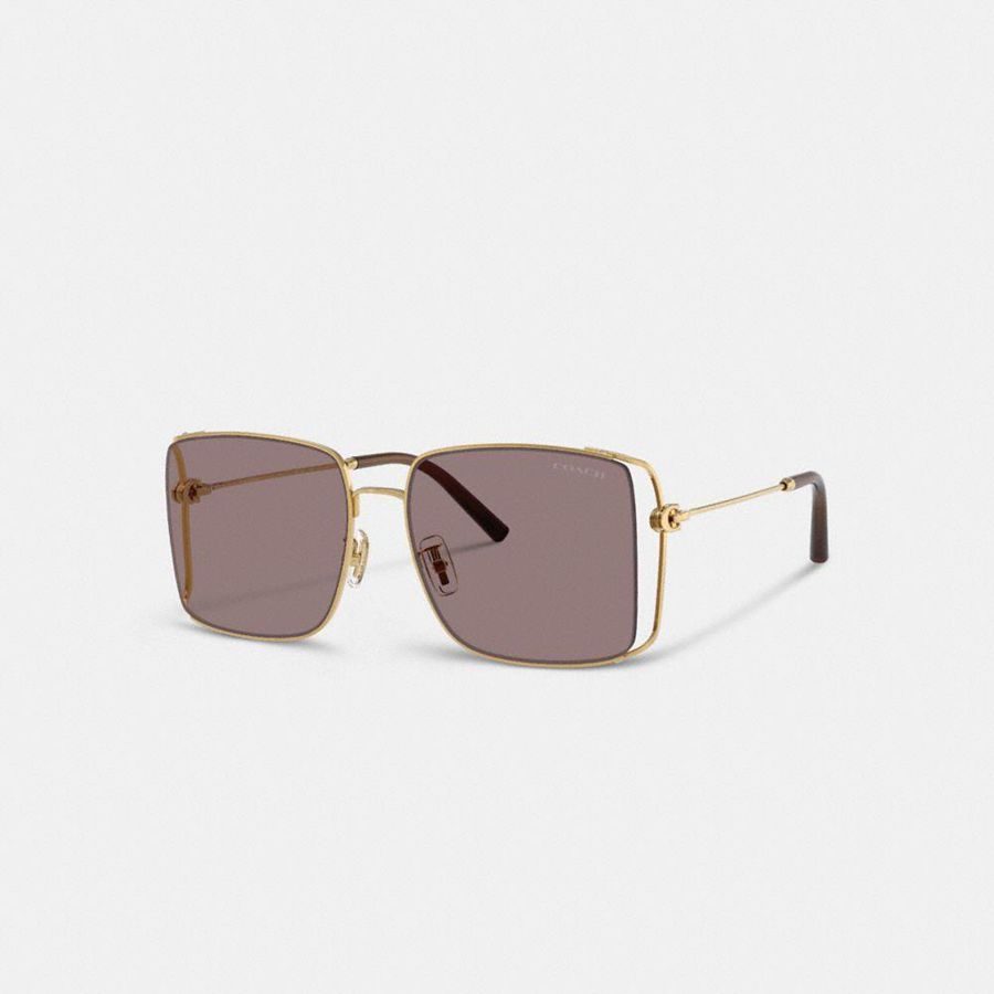 Lentes de Sol COACH Mujer Moradas | 5089ZCASV