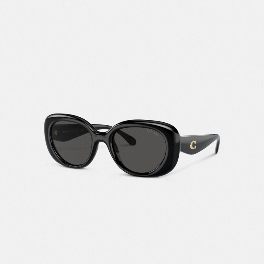 Lentes de Sol COACH Mujer Negras | 0174RWEYD