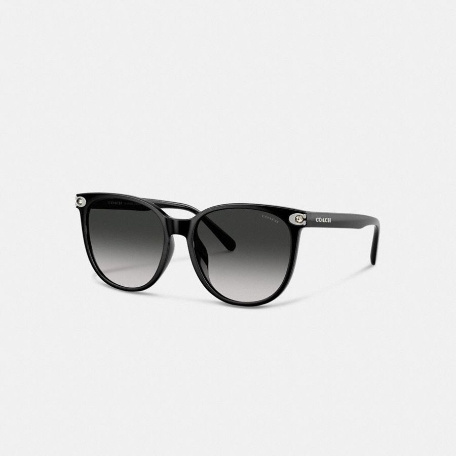 Lentes de Sol COACH Mujer Negras | 1032EHGWQ
