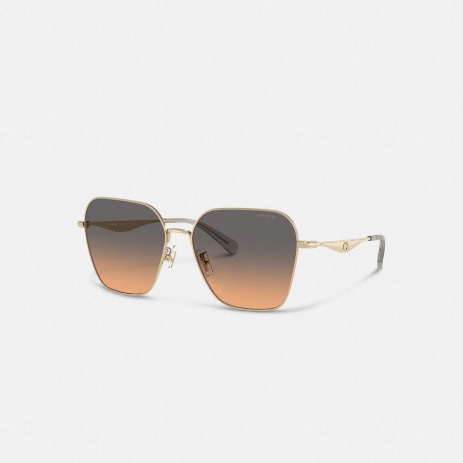 Lentes de Sol COACH Mujer Negras | 5420MQDJR