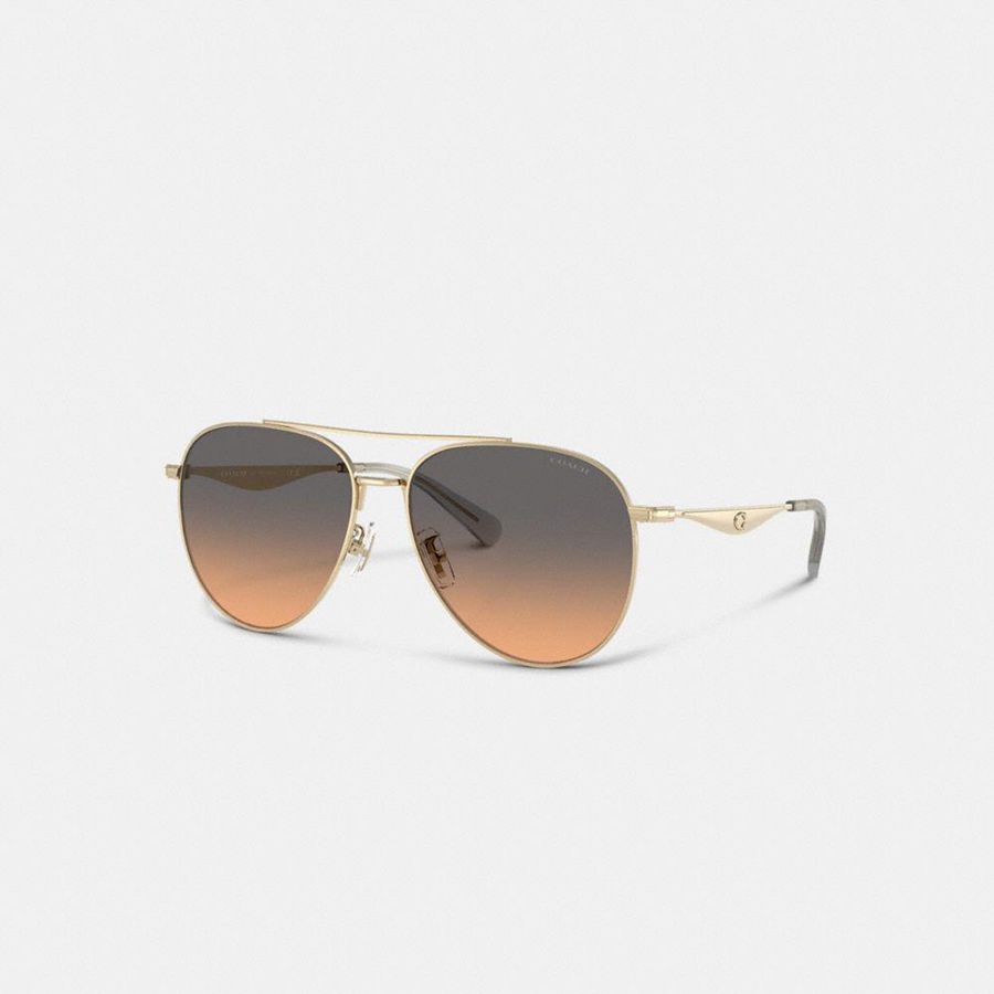 Lentes de Sol COACH Mujer Negras | 5736GWJSD
