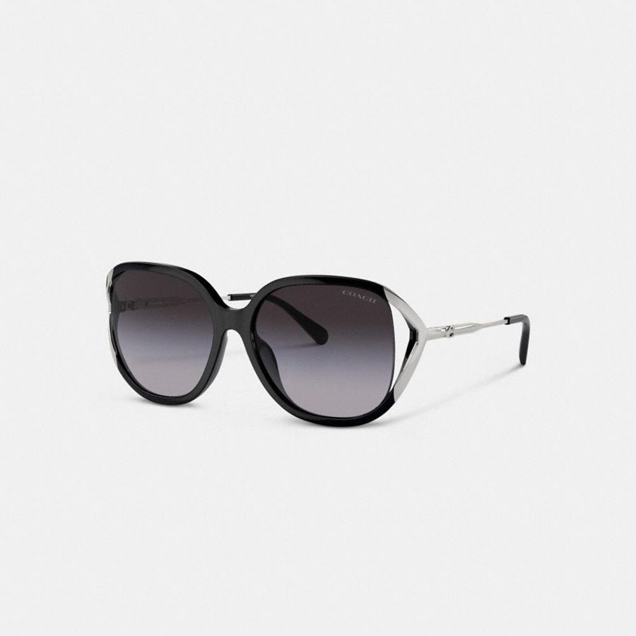 Lentes de Sol COACH Mujer Negras | 8376WTMZQ