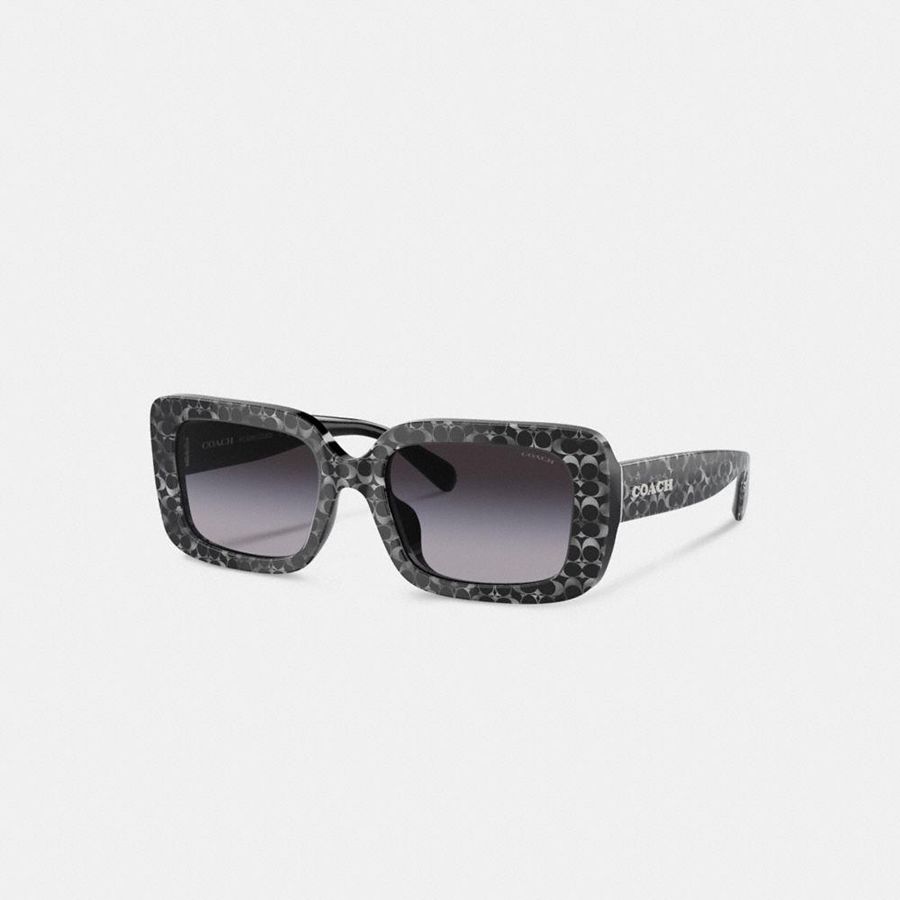 Lentes de Sol COACH Mujer Negras | 9745QCLUE