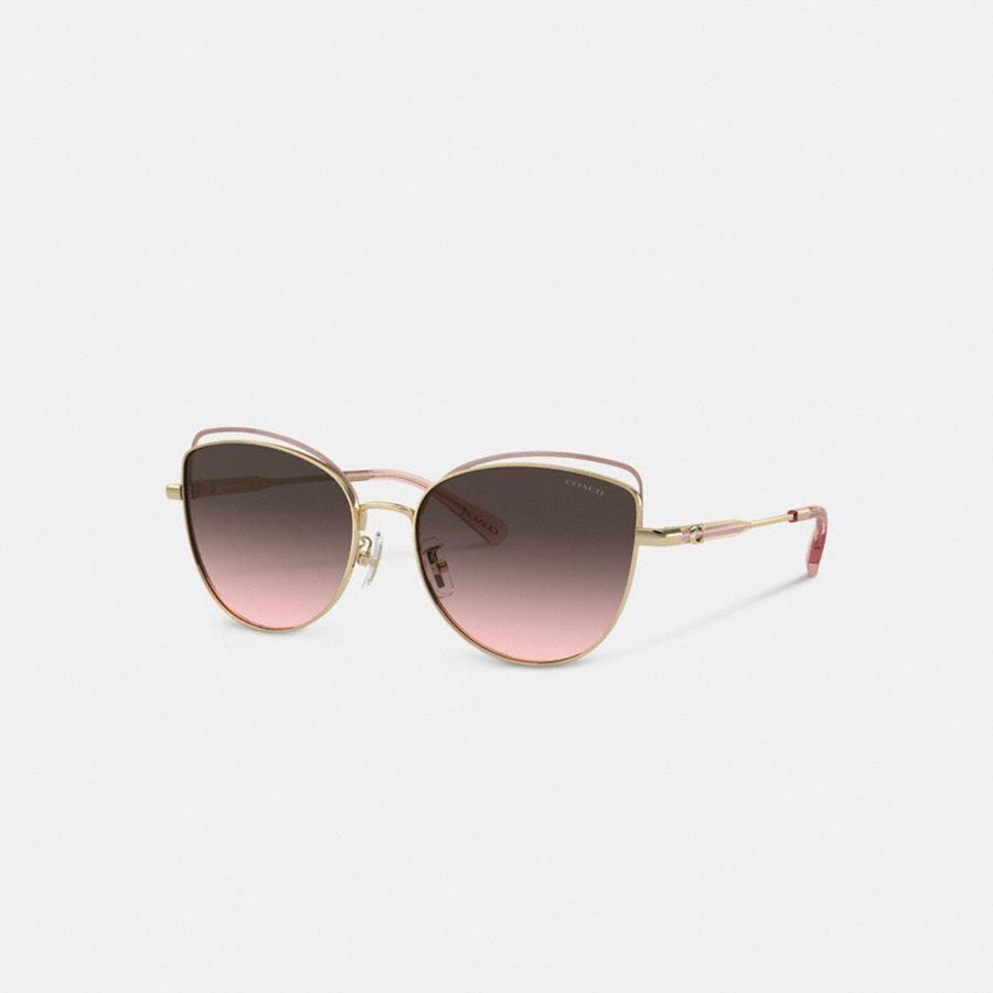 Lentes de Sol COACH Mujer Rosas | 0871USYGL