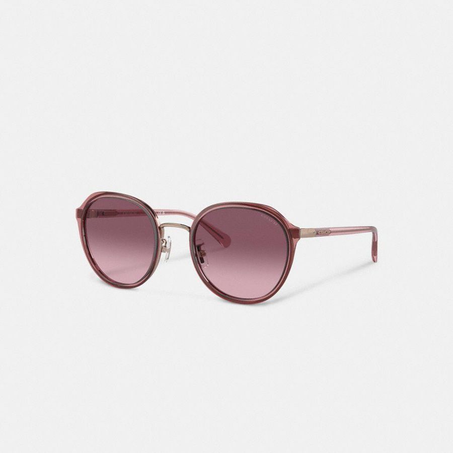 Lentes de Sol COACH Mujer Rosas | 2195ELSFZ