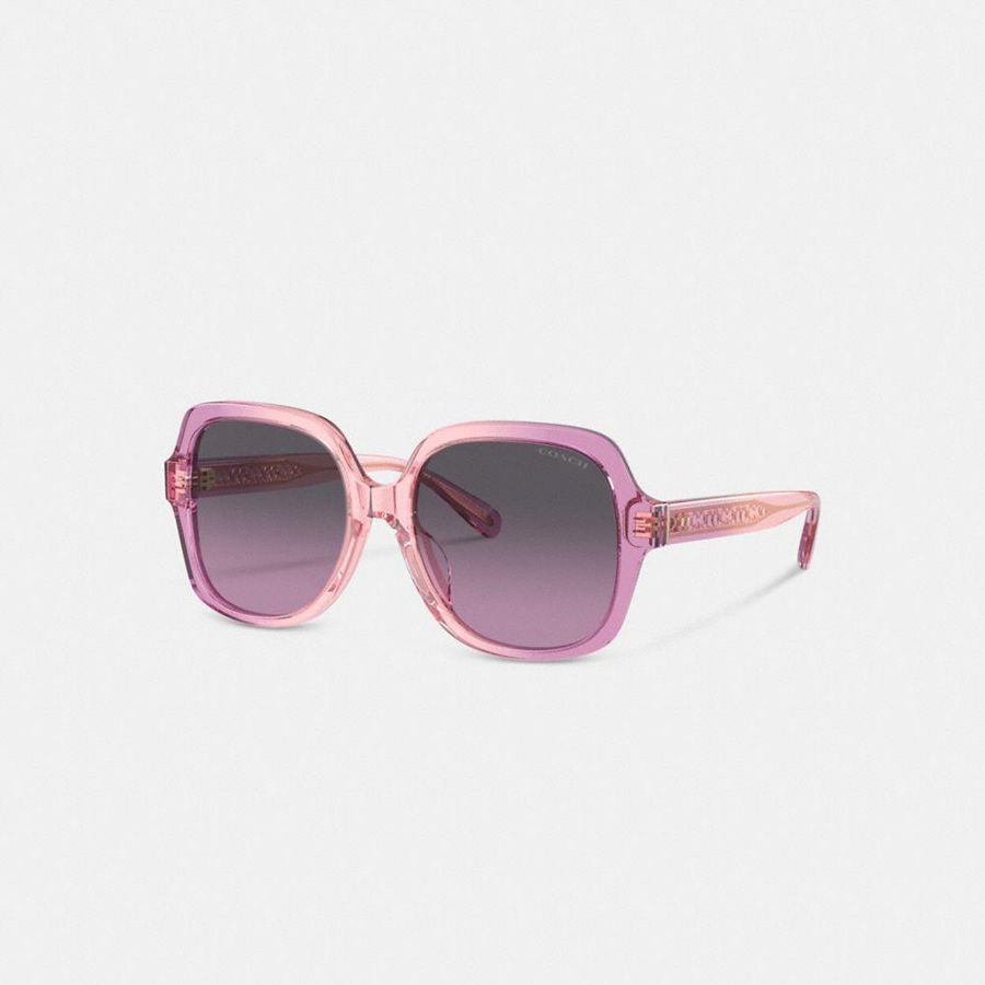 Lentes de Sol COACH Mujer Rosas | 2697ZOYTB