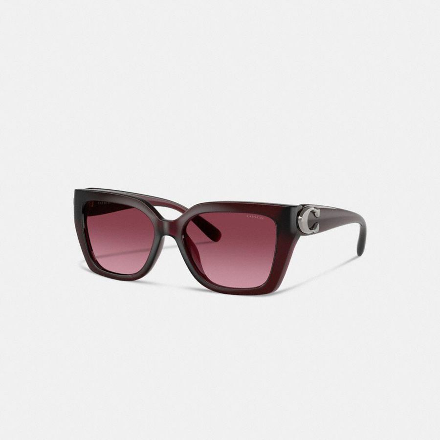 Lentes de Sol COACH Mujer Rosas | 9437XVOZG