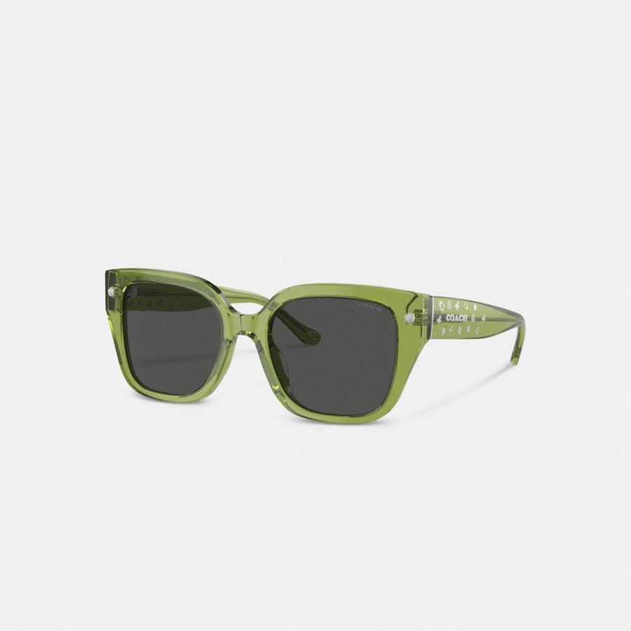 Lentes de Sol COACH Mujer Verde | 7850URKCX