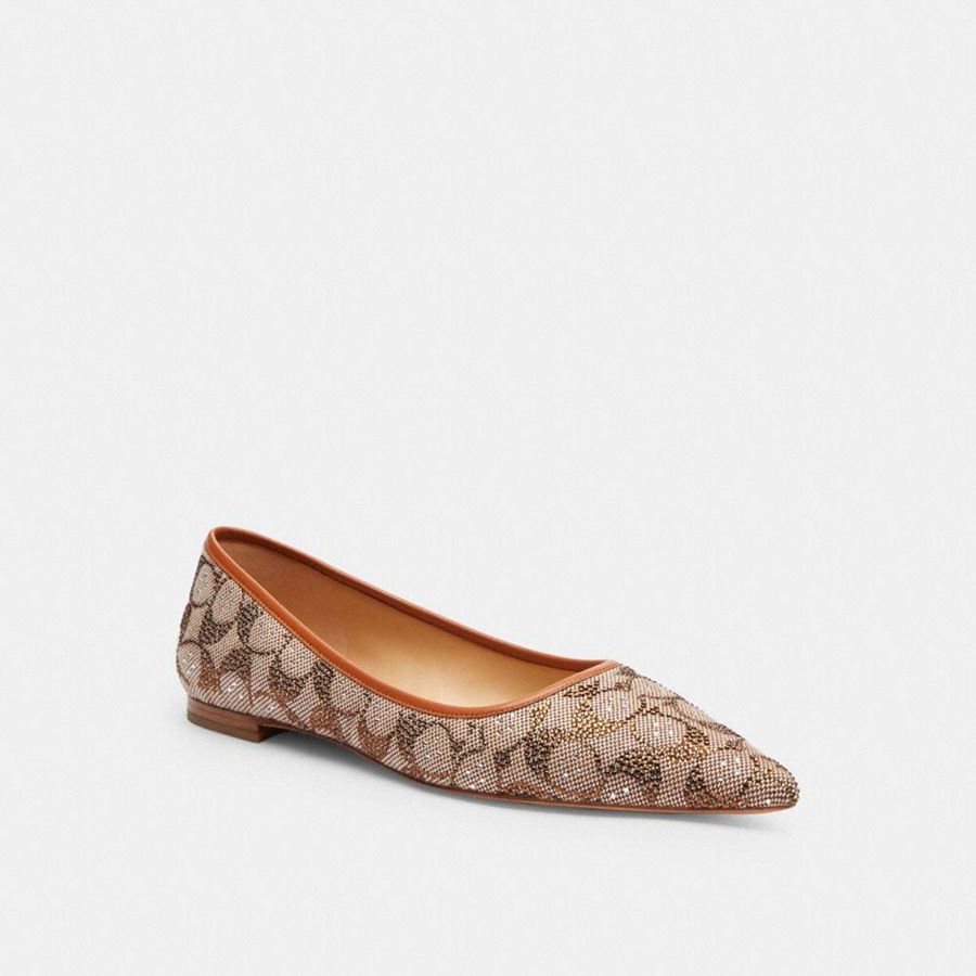 Mocasines COACH Mujer Marrones | 1563AELRO