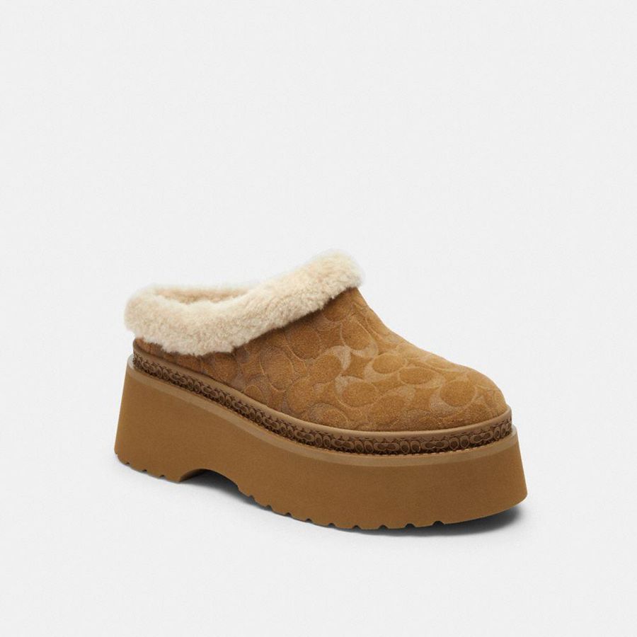 Mocasines COACH Mujer Marrones | 1824XQWMG
