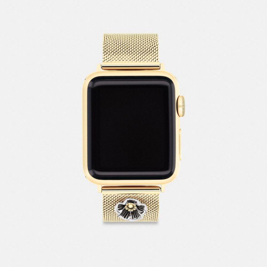 Relojes COACH Hombre Doradas | 8647IXGEO