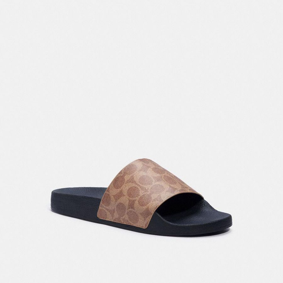 Sandalias COACH Hombre Marrones | 8521IDFVY